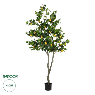 GloboStar® Artificial Garden LEMON TREE 21106 Τεχνητό Διακοσμητικό Δέντρο Λεμονιά Υ200cm