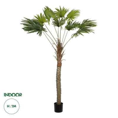 GloboStar® Artificial Garden WASHINGTONIA FILIFERA TREE 21107 Τεχνητό Διακοσμητικό Φοινικόδεντρου Υ200cm