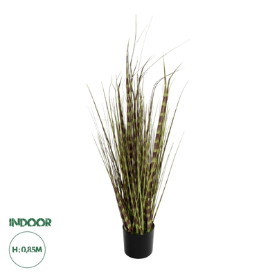 GloboStar® Artificial Garden ZEBRA GRASS 21482 Τεχνητό Διακοσμητικό Φυτό Ζέμπρα  Υ85cm