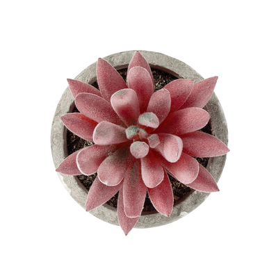 GloboStar® Artificial Garden SUCCULENT SEDEVERIA 21020 Τεχνητό Διακοσμητικό Φυτό Σεδεβέρια Μ6.5 x Π6.5 x Υ9cm