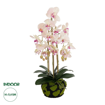 GloboStar® Artificial Garden BUTTERFLY ORCHID BONSAI 21400 Τεχνητό Διακοσμητικό Φυτό Ορχιδέα Μ34 x Π27 x Υ65cm