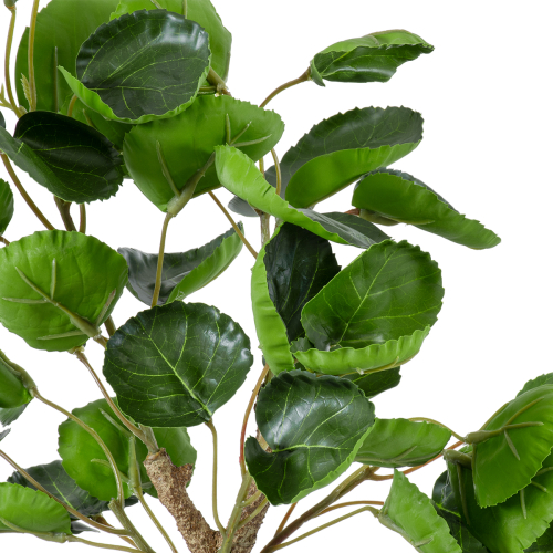 GloboStar® Artificial Garden POLYSCIAS SCUTELLARIA TREE 20424 Τεχνητό Διακοσμητικό Φυτό Πολυσκιά Υ50cm