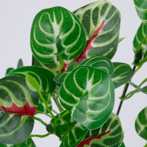 GloboStar® IRESINE PLANT 78237 Τεχνητό Φυτό Αιμόφυλλο - Μπουκέτο Διακοσμητικών Φυτών - Κλαδιών με Φύλλωμα Πράσινο - Κόκκινο Υ35cm