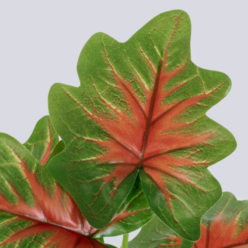 GloboStar® CALADIUM S-78271 Τεχνητό Φυτό Καλάδιο - Μπουκέτο Διακοσμητικών Φυτών - Κλαδιών με Φύλλωμα Πράσινο - Κόκκινο - Κίτρινο Υ28cm