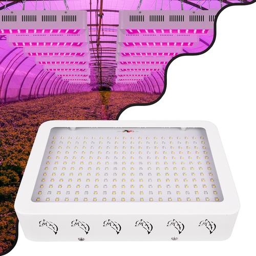 GloboStar® 85952 Grow Light Full Spectrum LED Φωτιστικό Ανάπτυξης Φυτών Θερμοκηπίου SMD 2835 174W 160° AC230V IP54 Εσωτερικού Χώρου για Κάλυψη Επιφάνειας 3m x 3m Πλήρους Φάσματος Φωτισμού GloboStar® 85952 Grow Light Full Spectrum LED Φωτιστικό Ανάπτυξης Φυτών Θερμοκηπίου SMD 2835 174W 160° AC230V IP54 Εσωτερικού Χώρου για Κάλυψη Επιφάνειας 3m x 3m Πλήρους Φάσματος Φωτισμού
