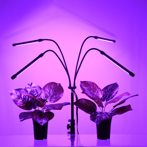 GloboStar® 85956 Grow Light Full Spectrum LED Φωτιστικό Ανάπτυξης Φυτών Γλάστρας με 4 Κινούμενες Κεφαλές & Τρίποδο 150cm SMD 2835 20W 180° AC230V IP20 με Dimmer & Timer Εσωτερικού Χώρου για Κάλυψη Επιφάνειας 1m x 1m Πλήρους Φάσματος Φωτισμού GloboStar® 85956 Grow Light Full Spectrum LED Φωτιστικό Ανάπτυξης Φυτών Γλάστρας με 4 Κινούμενες Κεφαλές & Τρίποδο 150cm SMD 2835 20W 180° AC230V IP20 με Dimmer & Timer Εσωτερικού Χώρου για Κάλυψη Επιφάνειας 1m x 1m Πλήρους Φάσματος Φωτισμού