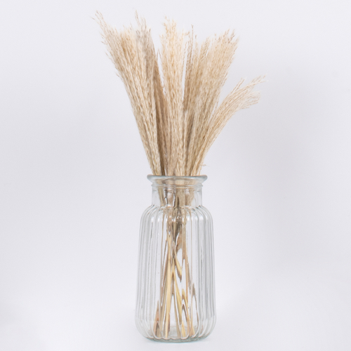 GloboStar® MISCANTHUS 36534 Αποξηραμένο Φυτό Μίσχανθος - Μπουκέτο Διακοσμητικών Κλαδιών Μπεζ Υ40cm