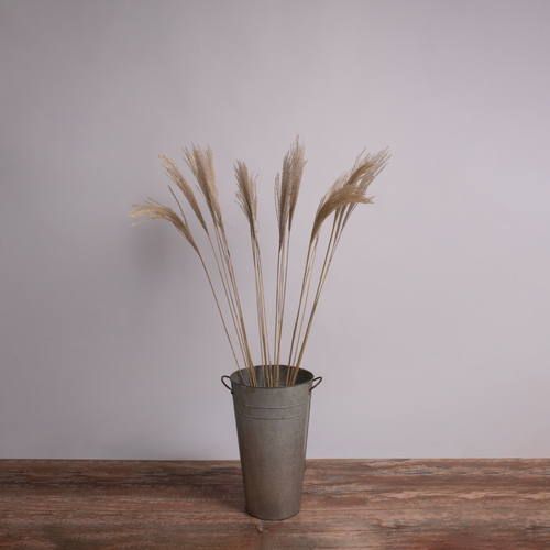 GloboStar® MISCANTHUS 36538 Αποξηραμένο Φυτό Μίσχανθος - Μπουκέτο Διακοσμητικών Κλαδιών Μπεζ Υ120cm