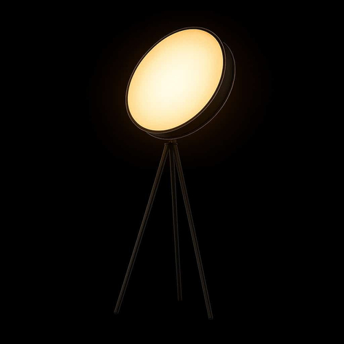 GB111 LED Minimal Μεταλλικό Φωτιστικό Δαπέδου 20W Dimmable CCT D45CMXH170CM με χειριστήριο