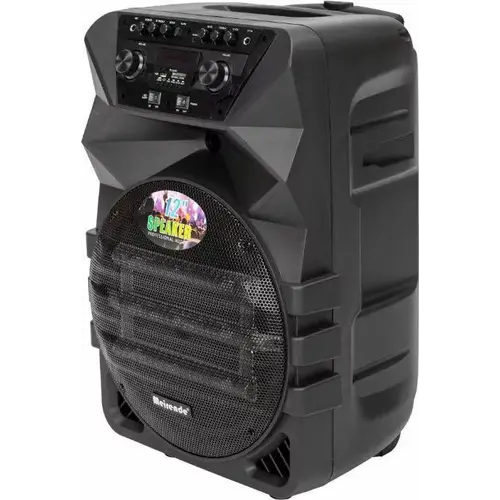 Φορητό ηχείο subwoofer με μικρόφωνο Karaoke - K5-12 - 260577