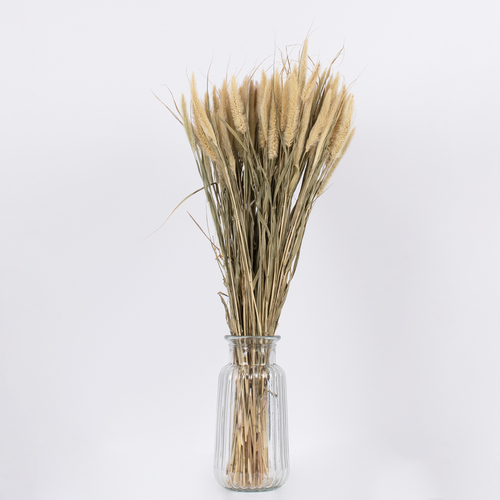 GloboStar® PENNISETUM 36503 Αποξηραμένο Φυτό Πεννήσιο - Μπουκέτο Διακοσμητικών Κλαδιών Μπεζ - Πράσινο Υ60cm - Σετ 100 τμχ