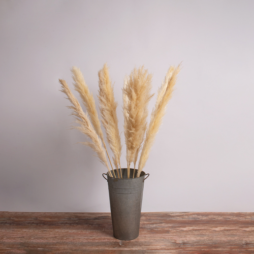 GloboStar® PAMPASGRASS 36509 Αποξηραμένο Φυτό Γρασίδι της Πάμπας - Μπουκέτο Διακοσμητικών Κλαδιών Μπεζ - Εκρού Υ120cm - Σετ 5 τμχ