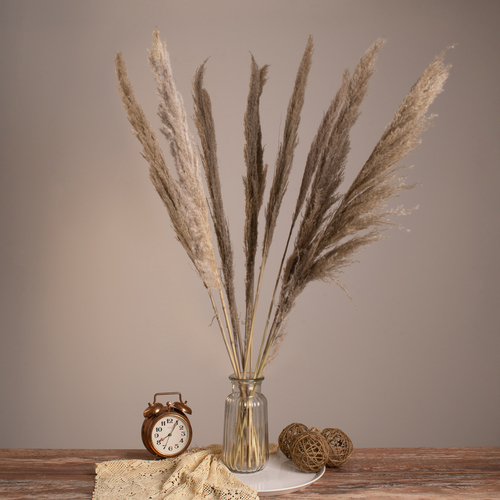 GloboStar® PAMPASGRASS 36512 Αποξηραμένο Φυτό Γρασίδι της Πάμπας - Μπουκέτο Διακοσμητικών Κλαδιών Καφέ - Γκρι Υ100cm - Σετ 10 τμχ