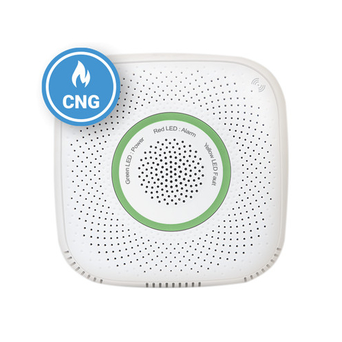 3809511202463 | Shelly GAS (CNG: Φυσικό αέριο)