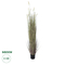 GloboStar® Artificial Garden BEIGE LAGURUS 21104 Διακοσμητικό Φυτό Μπεζ Λαγοουρά Υ180cm