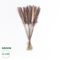 GloboStar® Artificial Garden REAL DRIED BROWN PAMPAS GRASS BUNCH 21215 Αποξηραμένο Διακοσμητικό Μπουκέτο Pampas Kάφε Y50cm