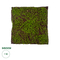 GloboStar® Artificial Garden BRYOPHYTA 20143 Τεχνητό Διακοσμητικό Πάνελ Φυλλωσιάς - Κάθετος Κήπος Βρύα Μ100 x Π100 x Υ5cm