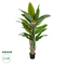 GloboStar® Artificial Garden BANANA STRELITZIA REGINAE 20381 - Τεχνητό Διακοσμητικό Φυτό  Μπανανιά - Στρελίτσια - Πουλί του Παραδείσου Υ230cm