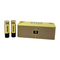 Ασύρματο ηχείο Bluetooth με 2 μικρόφωνα Karaoke - YS-204 - 887202 - Gold