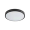 it-Lighting Torch LED 18W 3CCT Outdoor Ceiling Light Anthracite D:28cmx5,3cm (80300340)