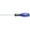 Κατσαβίδι torx με τρύπα ΤΤ27 / E160601