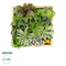 GloboStar® Artificial Garden VARIOUS PLANT 20641 Τεχνητό Διακοσμητικό Φυλλωσιάς σε Ξύλινο Πάνελ  - Κάθετος Κήπος Μιξ Μ60 x Π60 x Υ32cm