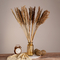 GloboStar® BROOMCORN 36554 Αποξηραμένο Φυτό Γλυκό Σόργο - Μπουκέτο Διακοσμητικών Κλαδιών Καφέ Υ80cm - Σετ 20 τμχ