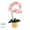 GloboStar® Artificial Garden SALMON PINK ORCHID 21129 Διακοσμητικό Φυτό Φούξια Ορχιδέα Υ43cm
