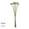GloboStar® Artificial Garden PALE GREEN DANDELION BOUQET 21362 Τεχνητό Διακοσμητικό Ταραξάκο Μπουκέτο Y54cm