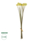 GloboStar® Artificial Garden PALE YELLOW DANDELION BOUQET 21363 Τεχνητό Διακοσμητικό Ταραξάκο Μπουκέτο Y54cm