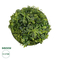 GloboStar® Artificial Garden VARIOUS PLANTS ROUND WALL DISC 20689 Τεχνητό Διακοσμητικό Στρογγυλό Πάνελ Φυλλωσιάς - Κάθετος Κήπος Μιξ Μ70 x Π70 x Υ15cm