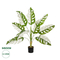 GloboStar® Artificial Garden ALBINO MONSTERA 20938 Τεχνητό Διακοσμητικό Φυτό Πράσινη & Λευκή Μονστέρα Μ90 x Π90 x Υ90cm